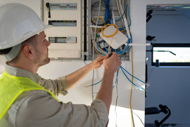 Best Electrical Outlet Repair  in Palo, IA